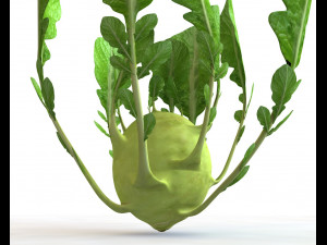kohlrabi german turnip Modelo 3D