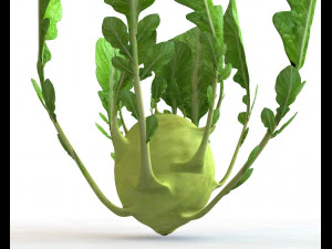 kohlrabi german turnip 3D Model