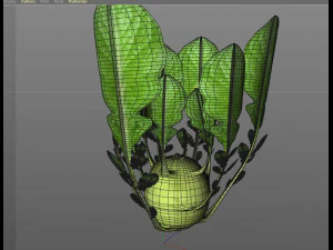 kohlrabi german turnip 3D Model