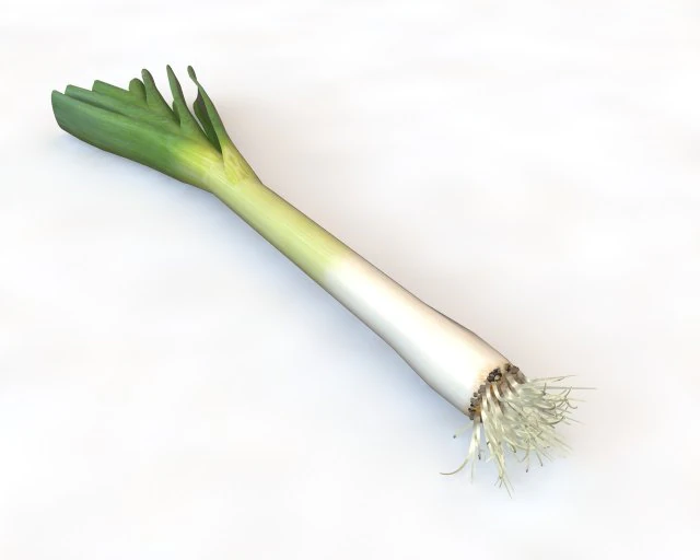 leeks 3D Model .c4d .max .obj .3ds .fbx .stl .blend 