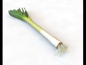 leeks 3D Model