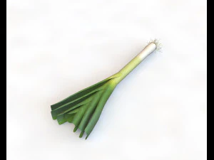 leeks 3D Model