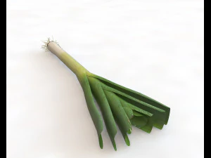 leeks 3D Model
