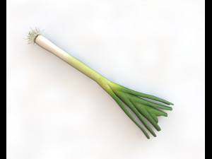 leeks 3D 模型