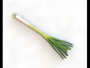 leeks 3D Model