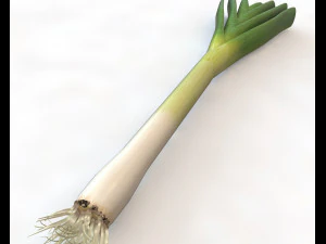 leeks 3D Model