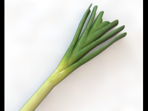 leeks 3D 模型