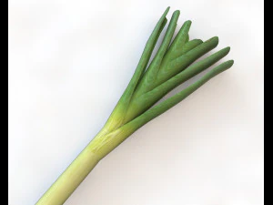 leeks 3D Model