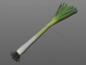leeks 3D 模型