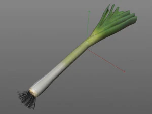 leeks 3D Model