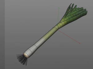 leeks 3D Model