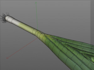 leeks 3D 模型