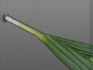 leeks 3D Model
