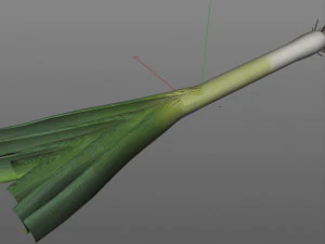 leeks 3D Model