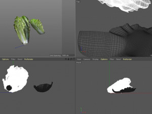 lettuce 3D Model