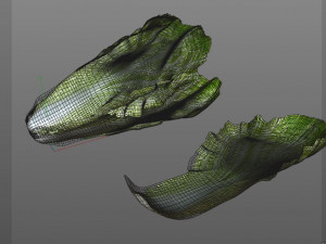 lettuce 3D Model