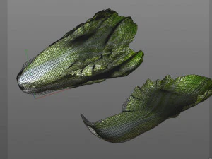 lettuce 3D Model