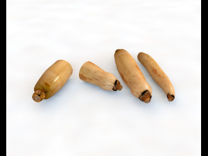 lotus root 3D Model