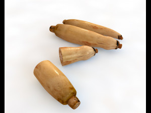 lotus root 3D Model
