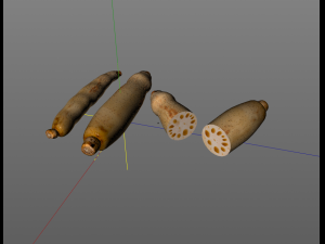 lotus root 3D Model