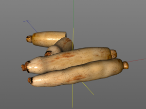 lotus root 3D Model