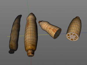 lotus root 3D Model
