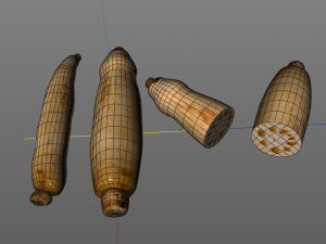 lotus root 3D Model