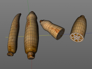 lotus root 3D Model