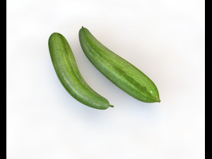 luffa loofah 3D Model