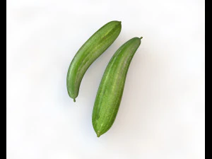 esponja vegetal luffa Modelo 3D