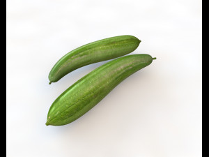 luffa loofah 3D Model