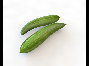 esponja vegetal luffa Modelo 3D