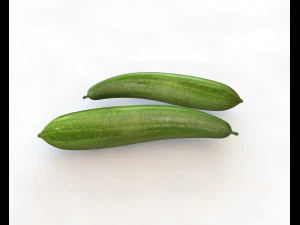 esponja vegetal luffa Modelo 3D