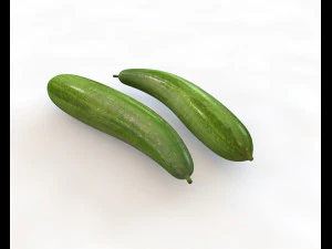 esponja vegetal luffa Modelo 3D