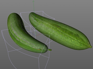 luffa loofah 3D Model