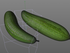 luffa loofah 3D Model