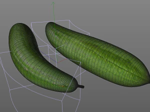 esponja vegetal luffa Modelo 3D