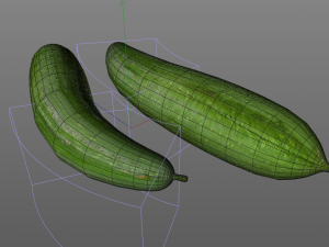 luffa loofah 3D Model
