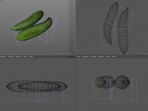 luffa loofah 3D Model