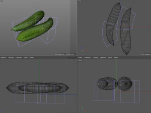 esponja vegetal luffa Modelo 3D