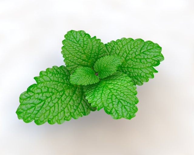 mint 3D-Modell .c4d .max .obj .3ds .fbx .stl .blend 
