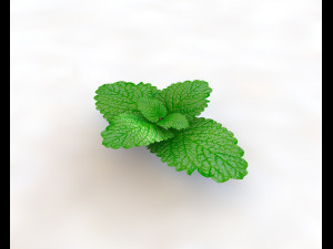 mint 3D-Modell