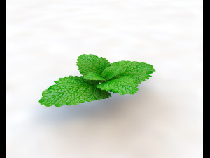 mint 3D-Modell