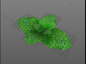 mint 3D-Modell