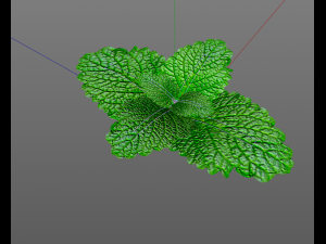 mint 3D-Modell