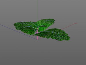 mint 3D-Modell