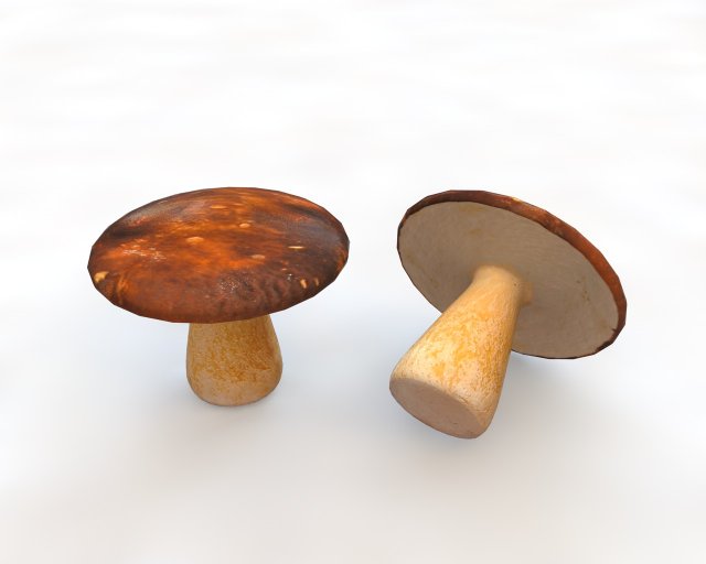 brown mushroom 3D Model .c4d .max .obj .3ds .fbx .stl .blend 