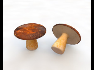 brown mushroom 3D Model