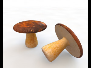 brown mushroom 3D Model