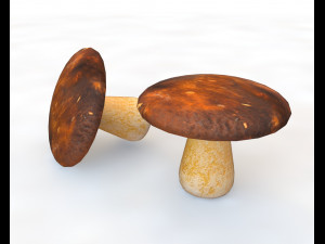 brown mushroom 3D Model